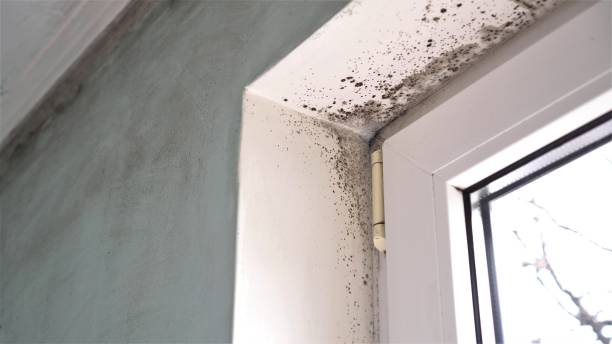 Water Damage Restoration in Baltimore, OH
