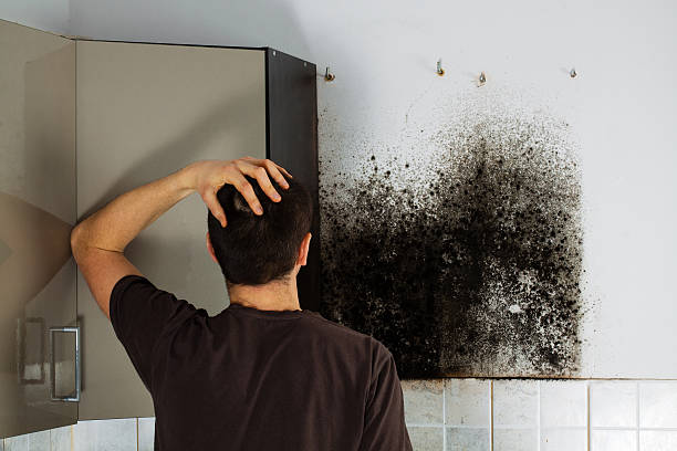 Best Crawl Space Mold Removal  in Baltimore, OH